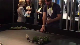 WATCH: BB-8 at CES 2016