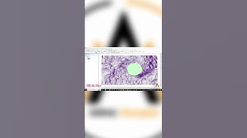 Clip In Line  #arcgis #tutorial #shorts #shortvideo #subscribe #map