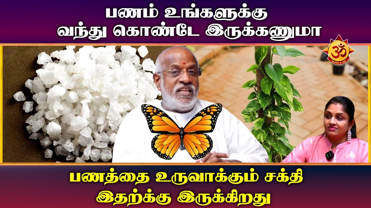 பணத்தை உருவாக்கும் சக்தி இதற்க்கு இருக்கிறது I mahha Dan Shekar Raajha