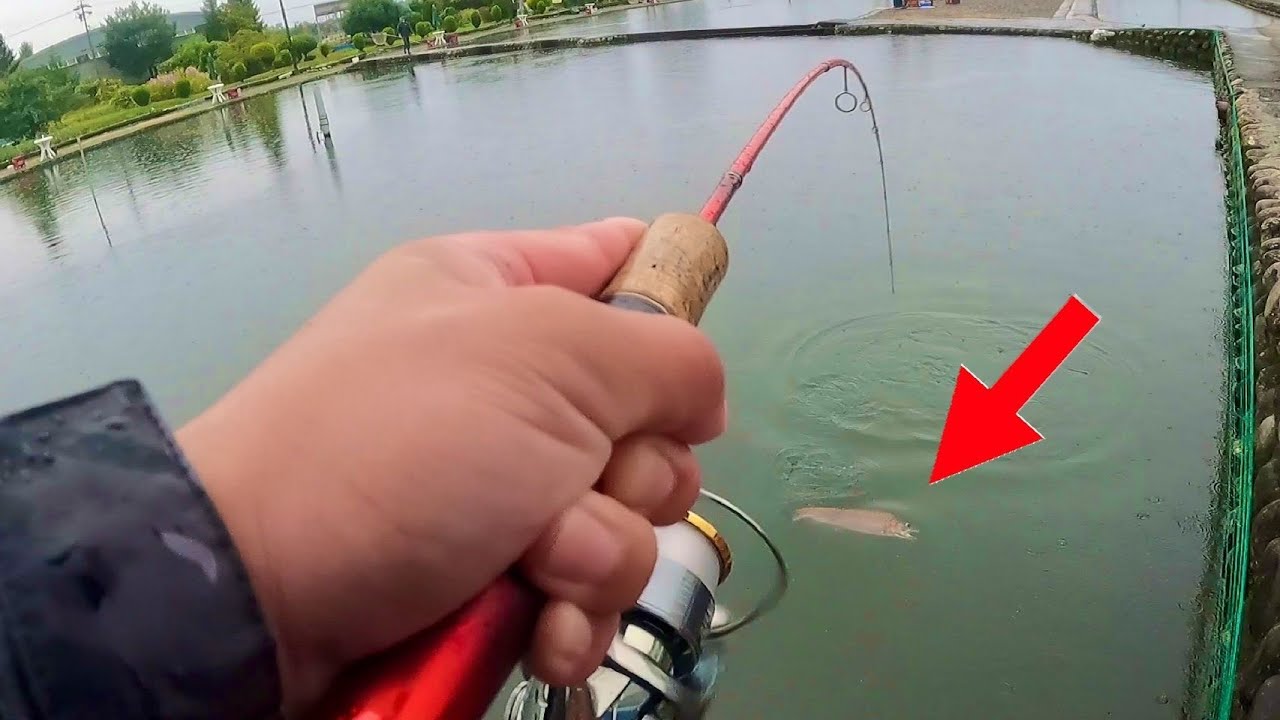 【大物を釣りまくれ！】デカマスを無限に釣る禁断のテクニックとは...【エリアトラウト　あずみ野フィッシングセンター】