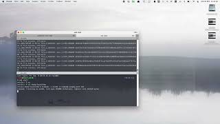 eCapture: capture HTTPS traffic without CA certificates on Android/Linux