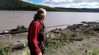 How Yukon Men and Women Get Big Logs into the River  Stan Zuray