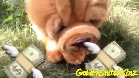 ραяту ση тнє ƒℓσσя (mep part)