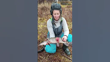 Трындец подкрался Чума у щуки (эпизоотия) Дайте кто-нибудь ГРАНАТОМЕТ #shorts
