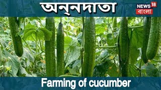 Farming Of Cucumber | ANNADATA screenshot 5
