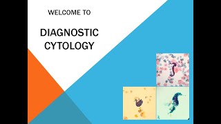A Day in the Life of a Diagnostic Cytology Lab!