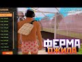 НОВЫЙ ГАЙД НА ФЕРМУ В 2025 || СВЕЖАЯ ТАБЛИЦА РАСТЕНИЙ || AMAZING GREEN