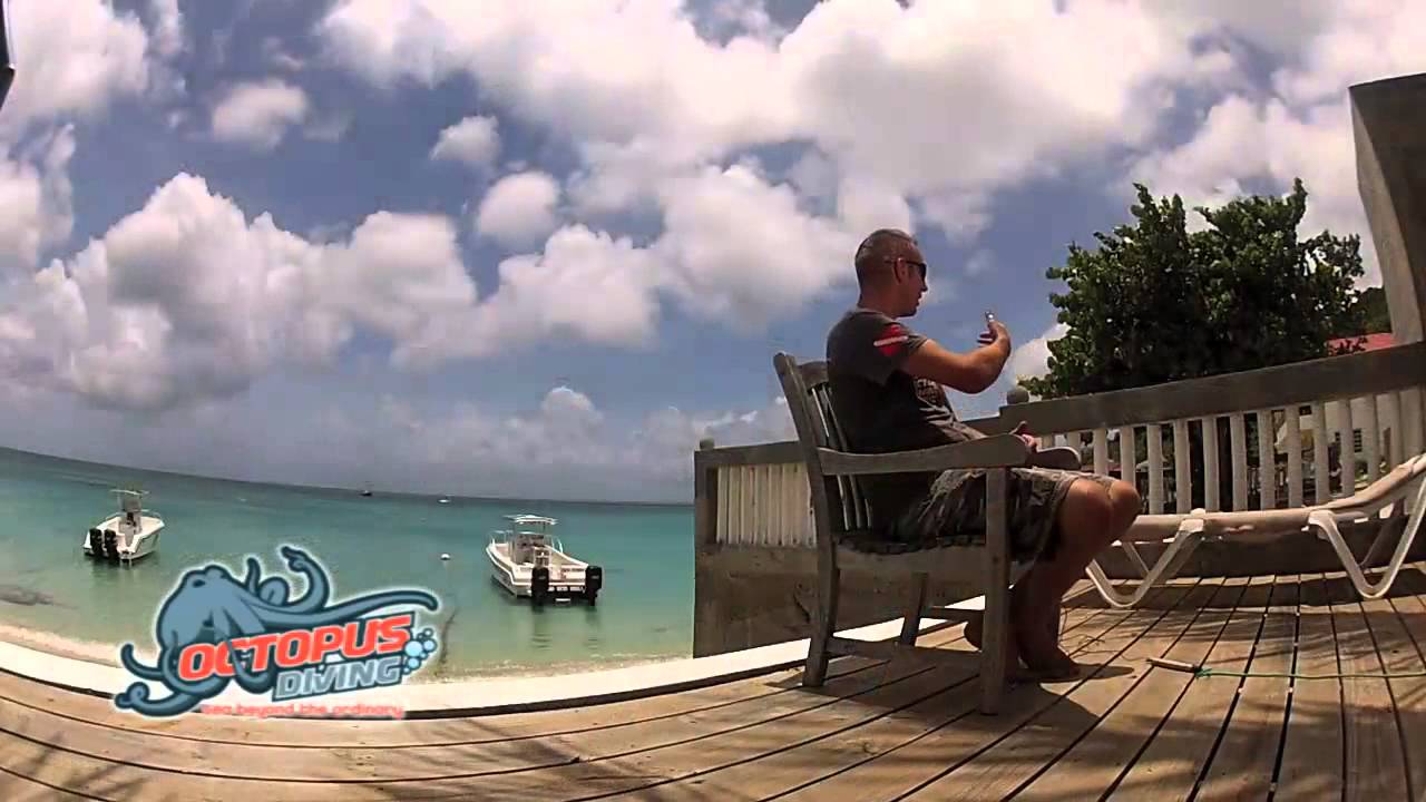 Why is Octopus Diving in St Maarten Different YouTube