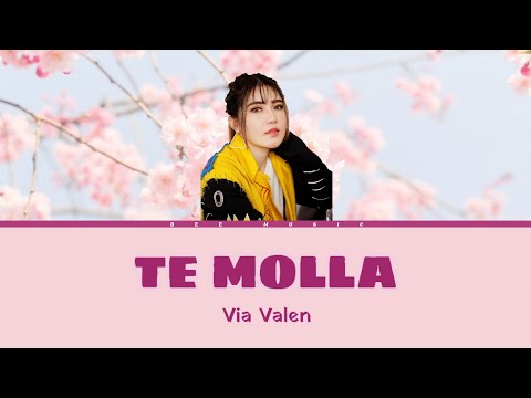Via Vallen - Te Molla by Arnon feat killua ( Koplo Cover dangdut Version) Reaction