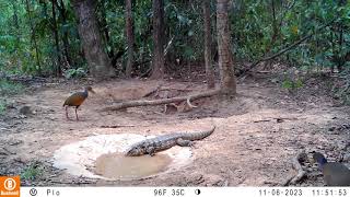 Chapada dos Guimarães  Set  Out  Nov  2023