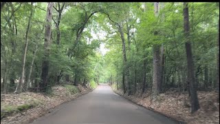 Blueberry Coffee and a countryside drive #RuralEastTexas #PineTrees #Forest #backroads by CrazyForJesus 75 views 10 days ago 6 minutes, 15 seconds