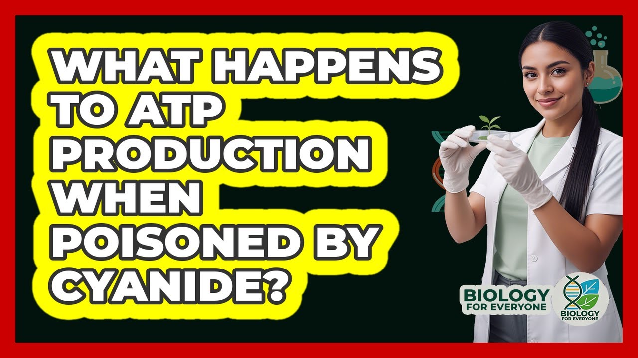 What Happens To ATP Production When Poisoned By Cyanide? - Biology For Everyone