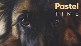 German Shepherd Dog in Soft Pastel - Timelapse screenshot 1