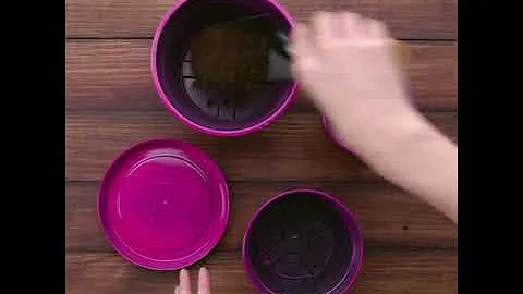 Como fazer horta em casa espaço pequeno?