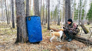 ЗАРЯДИЛИ ПРИВАДУ.ЖДЕМ МЕДВЕДЯ. РЫЖИЙ ПОПАЛ В КАПКАН. ИСПЫТАНИЕ НОВОГО ГЕНЕРАТОРА REDVERG.