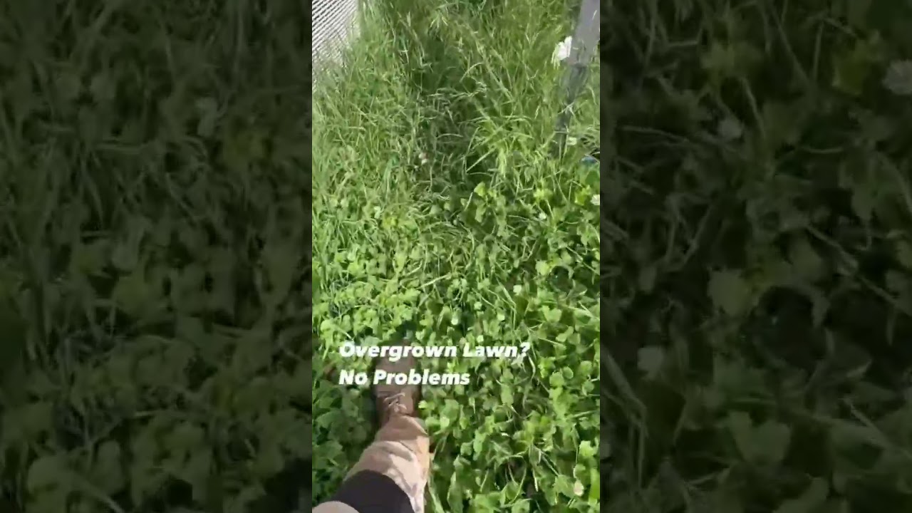Say goodbye to overgrown chaos! Jim’s Mowing can transform your yard into a functional and tidy Say goodbye to overgrown chaos! Jim’s Mowing can transform your yard into a functional and tidy