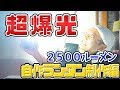 超爆光2500lmのランタンを自作してみた～制作編～多分最強のランタン