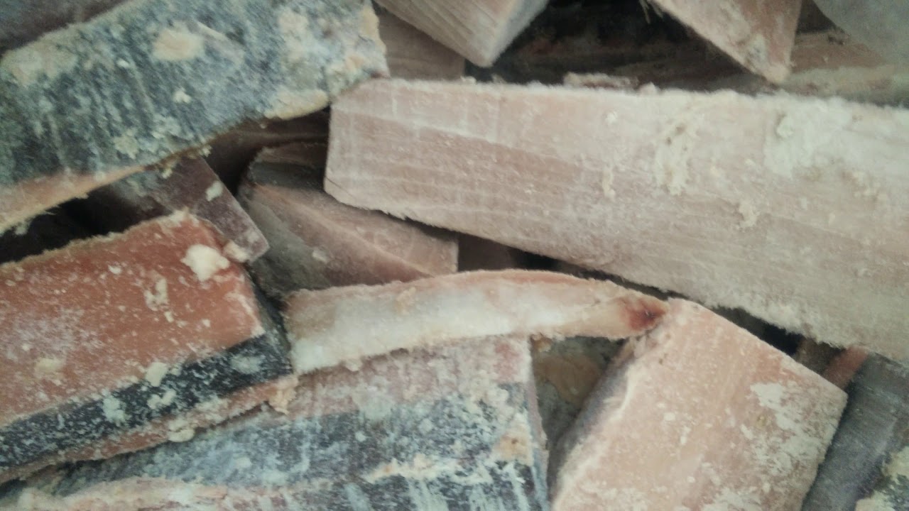 FOR SALE FROZEN TUNA BELLY YouTube