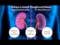 Kidneys in Jewish Thought and History
