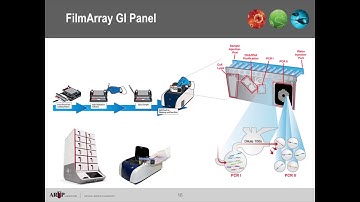 AACC 2016 In Booth Presentation - Molecular Detection of Gastrointestinal Pathogens