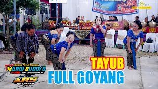 TAYUB FULL 1 JAM LASTRI CILIK CS