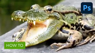 Combine a Crocodile and a Frog in Photoshop screenshot 2