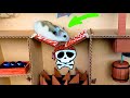 Hamster and marble run in the awesome ship maze for pets in real life
