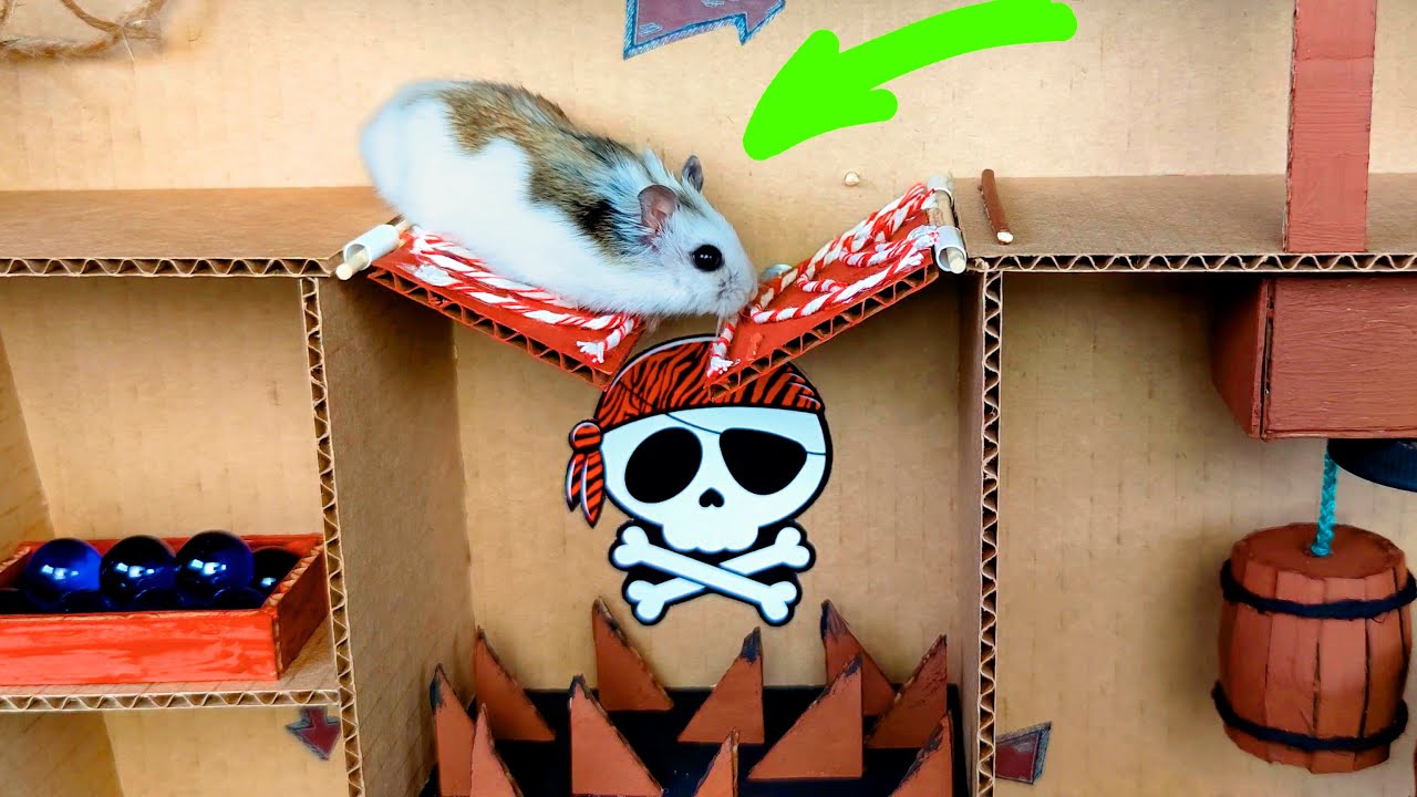 🐹Hamster and Marble Run in the awesome Ship maze for pets in real life