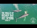 The Whales Of Bishop Bay Hot Spring - Ep. 131 RAN Sailing