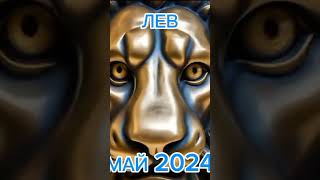 Прогноз для Львов на май 2024 ❤️🤗 #астрология #прогноз #2024 #магия #месяц #лев