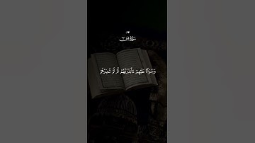 سورة يس آية 9 | وجعلنا من بين أيديهم سداً ومن خلفهم سداً #اكسبلور
