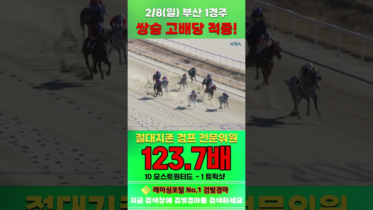 [부산 경마] 2월 8일 일요 1경주 절대지존 검프 전문위원 쌍승 고배당 적중 #경마 #horse #한국마사회 #automobile #하이라이트 #비트코인 #게임 #korean
