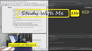 Study With Me | 1hr Study Session | Learning Python Programming | Sounds of Nature