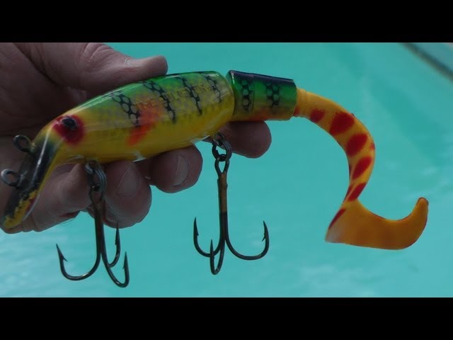 Super Believer Crankbait attracts fish. Fishing Tips and Tricks by