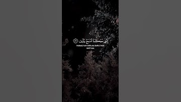 أكتب شيء تؤجر عليه ❤️‍🩹سبحان الله . #قران_كريم #قران # #احاديث#تلاوة #يارب#الله#استغفرالله#الحمدلله