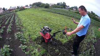 видео:  картинка: