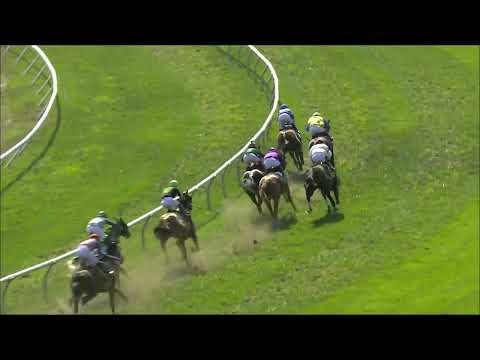 video thumbnail for MONMOUTH PARK 08-27-22 RACE 8