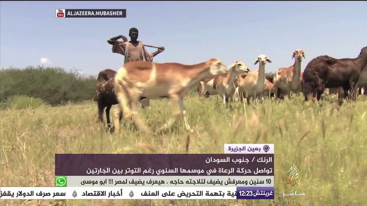 الكوليرا تقتحم اليمن