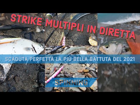 LA PIU&#039; BELLA BATTUTA DI SPINNING MEDIO PESANTE INSHORE DEL 2021! leccia amia - barracuda - serra