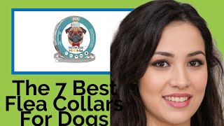 👉 The 7 Best Flea Collars For Dogs 2020  (Review Guide)