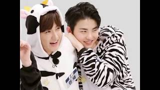 Jaehwall Moments Hyunjae Hwall