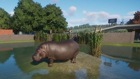 How to make sure hippos can go in and out of water in Planet Zoo
