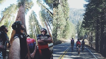 Riding Bikes and the WORLDS LARGEST TREE (Cycling In Sequoia National Park)
