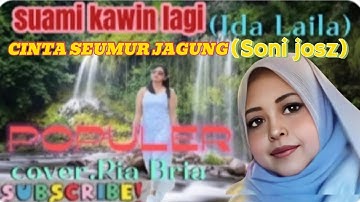 CINTA SEUMUR JAGUNG // SUAMI KAWIN LAGI#cover RIA BRIA