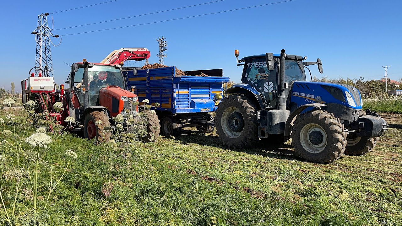 canavar tumosana on tesviye kuregi takinca youtube canavar tumosana on tesviye kuregi takinca youtube