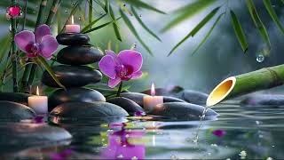 Relaxing Music 🌿 Sound of Bamboo Water Helps to Stabilize The Mind, Restore Health