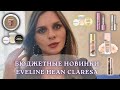 БЮДЖЕТНЫЕ НОВИНКИ ПОЛЬСКИХ БРЕНДОВ Eveline Claresa Hean! Новинки Eveline Variete Wonder Match