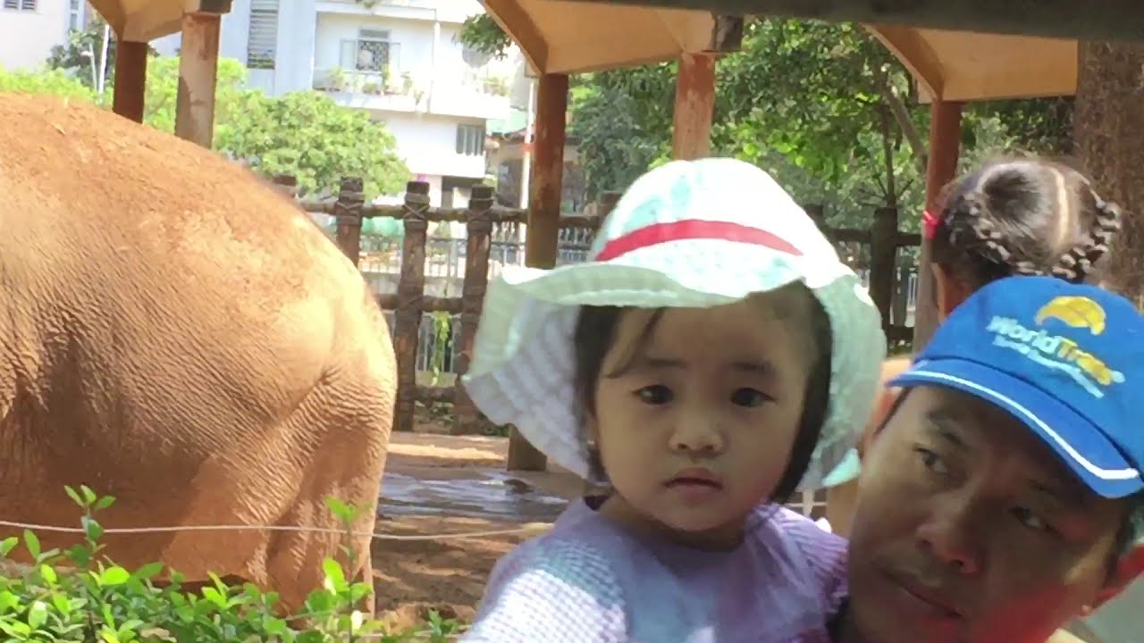 Saigon Zoo & Botanical Gardens Van Tour