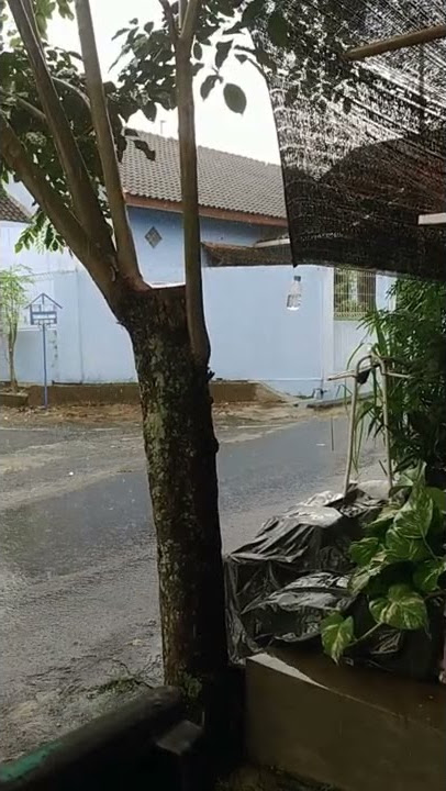 Story Wa Hujan, Minggu 23 Januari 2022