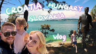 видео: VLOG: Завтрак в Венгрии, обед - в Словакии, ужин в Польше/Инвалидная табличка открывает многие двери картинка: VLOG: Завтрак в Венгрии, обед - в Словакии, ужин в Польше/Инвалидная табличка открывает многие двери